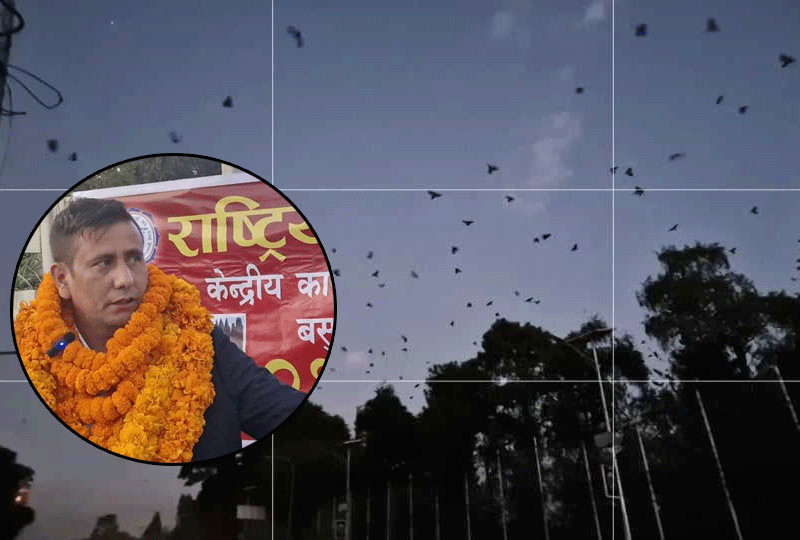 कलाकार दुलालले गरे काग सम्मेलन, भेला गराइयो सयौँ काग